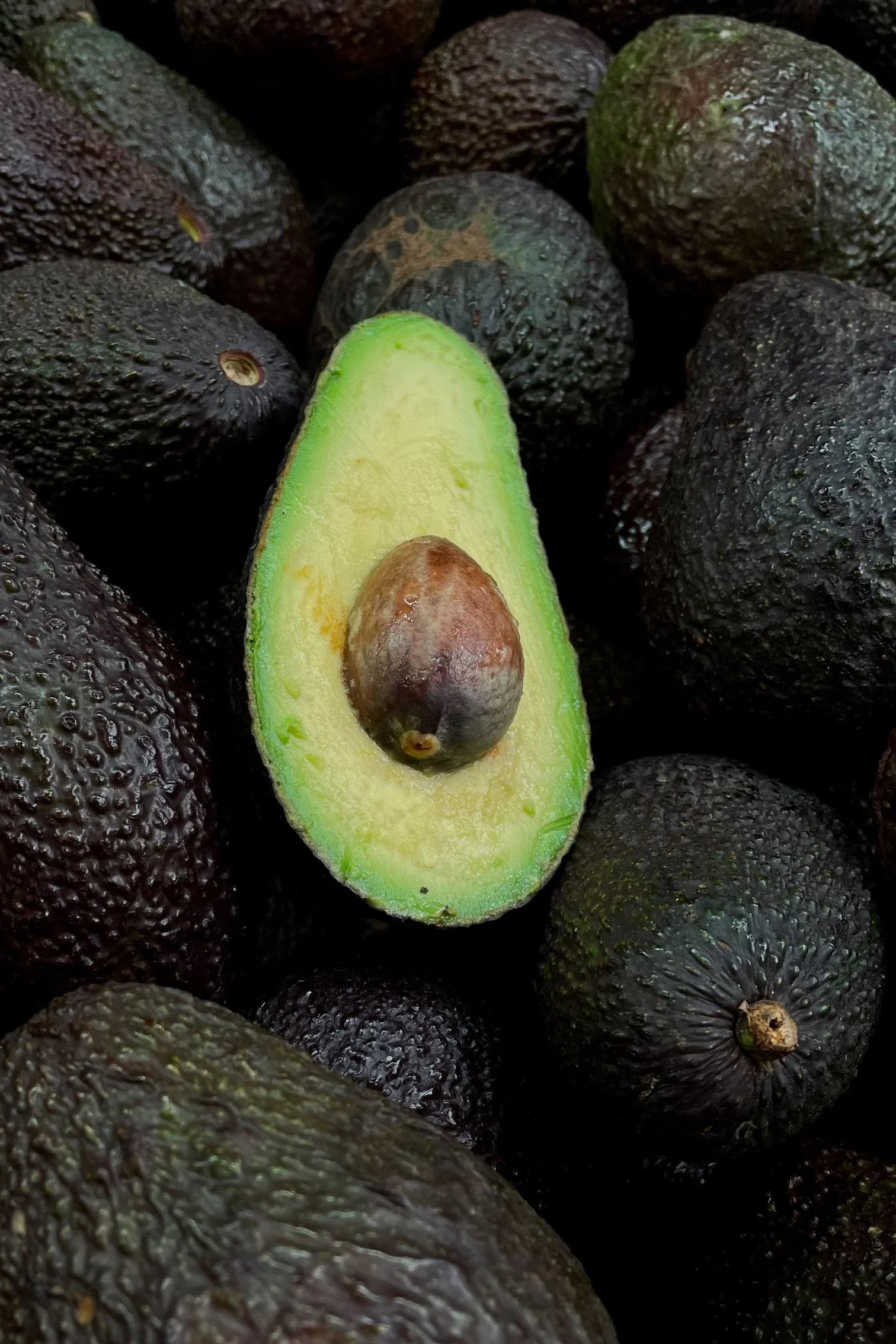 Closeup of avocados